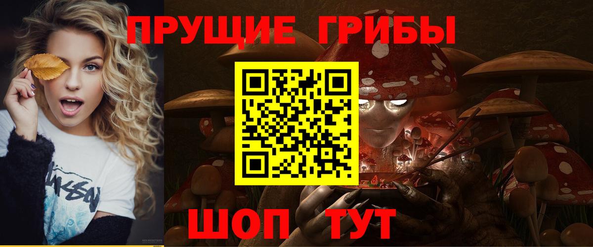 Галлюциногенные грибы GOLDEN TEACHER Новозыбков